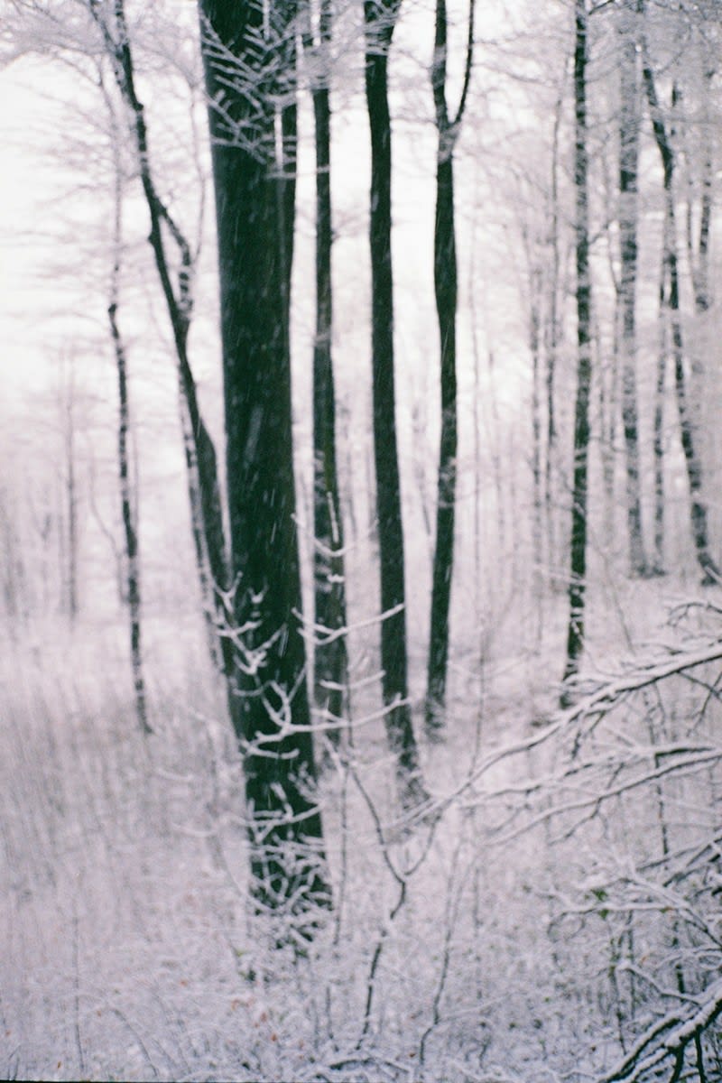 Tereza Kozinc, Sneg / The Snow, 2022