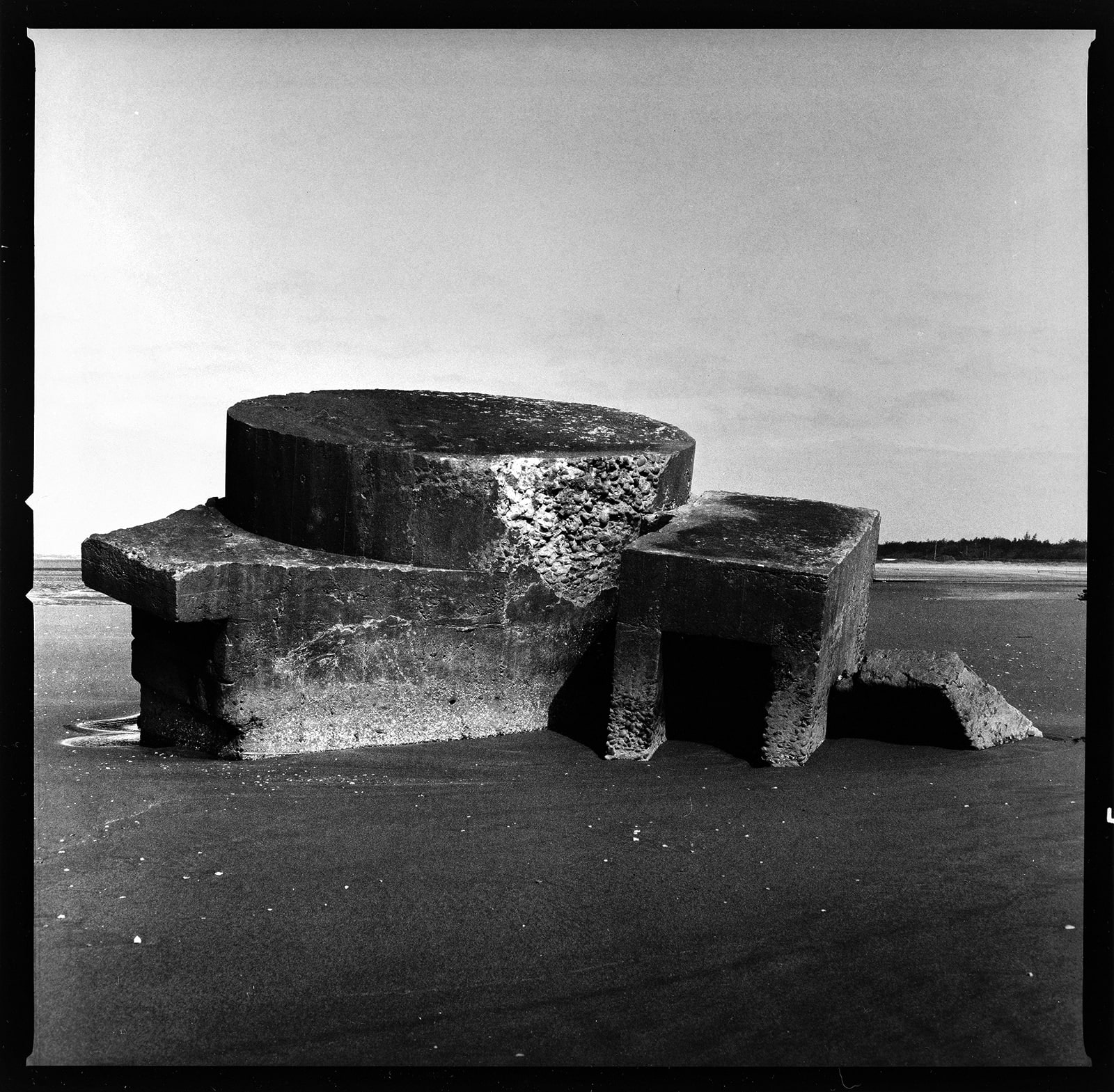 Simon Chang, 1/2 Hometown 12, 2025