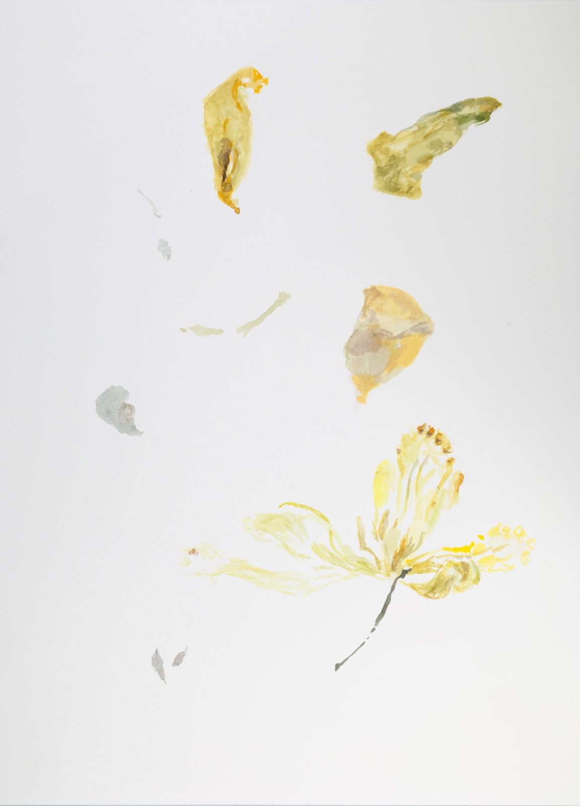 Luzia Simons, O.T. 28, 2024