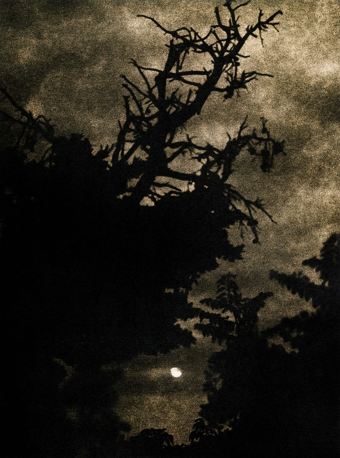 Andrej Lamut, Prehajanje VIII / Passing VIII, 2018