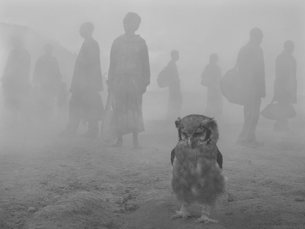 Nick Brandt, Harriet in ljudje v megli, Zimbabve / Harriet and People in Fog, Zimbabwe, 2020