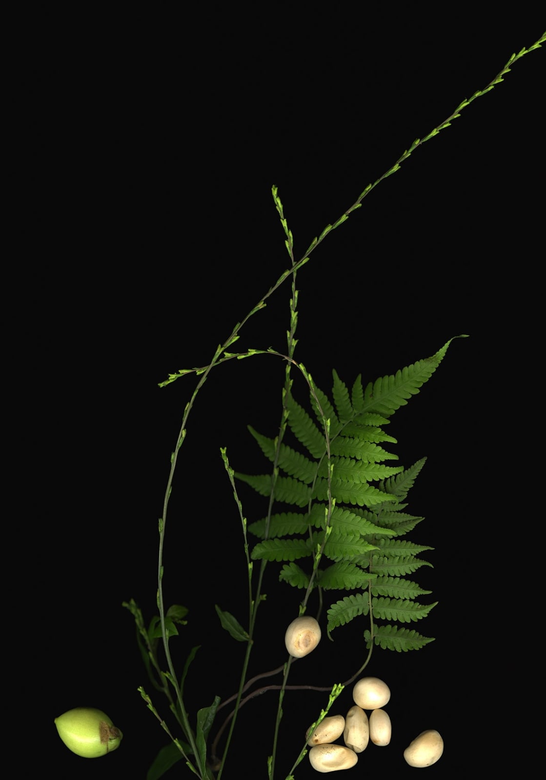 Luzia Simons, Casa de Vidro 04, 2024