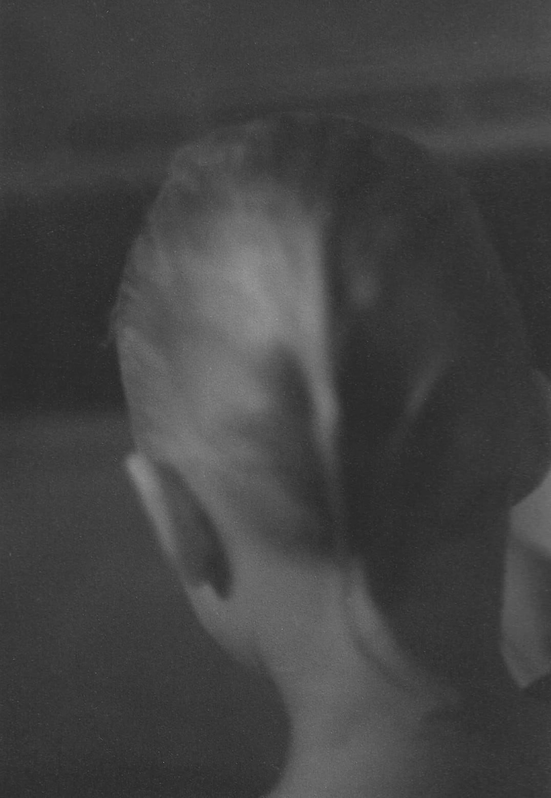 Tereza Kozinc, Martin, večerni rituali / Martin, Evening Rituals, 2023