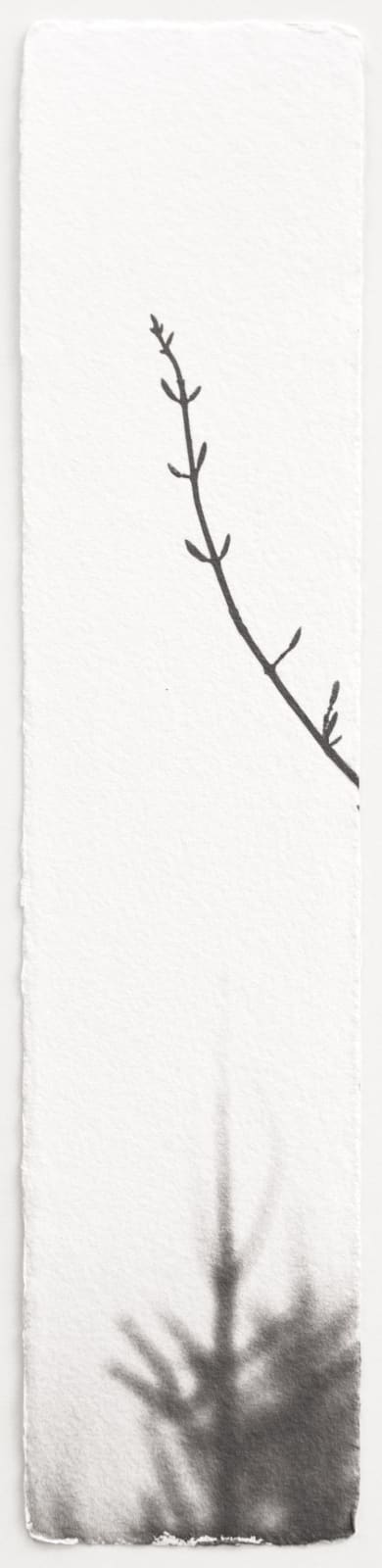 Hannah Schemel, Kigen #186, 2021