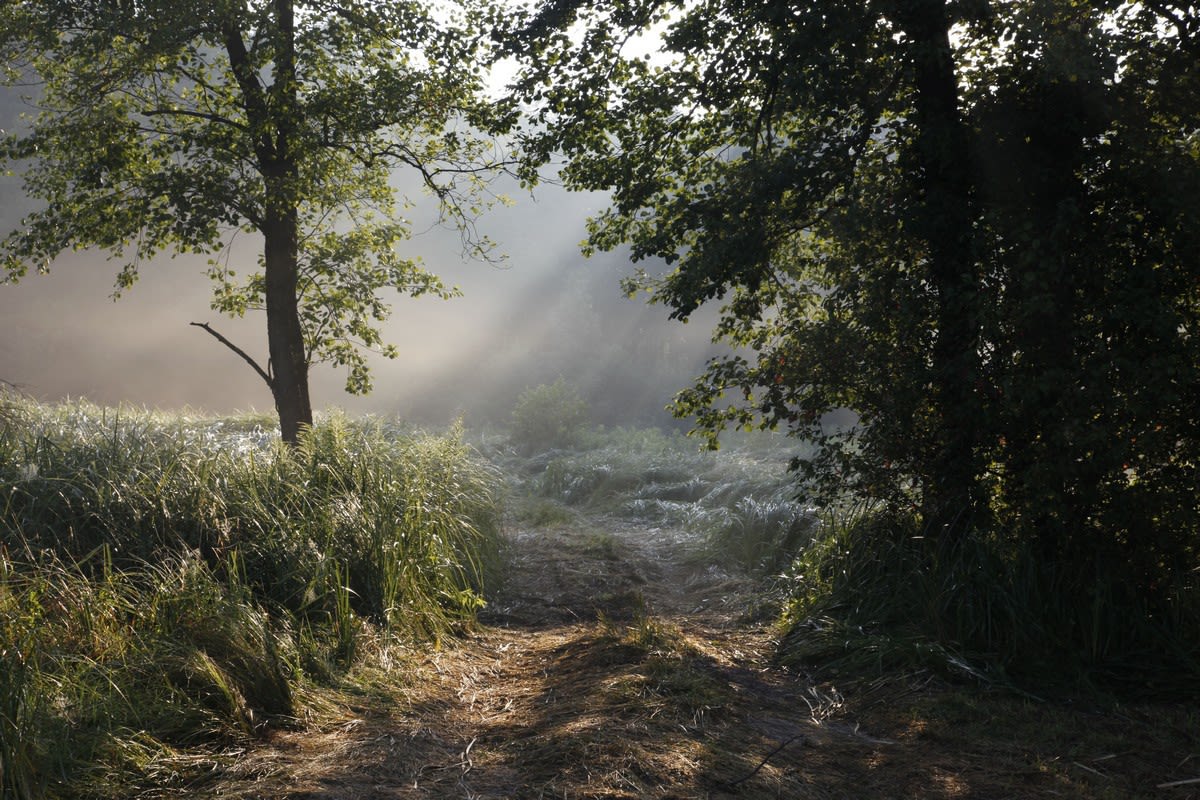 Janez Bogataj, Sonata for Sun and Fog III/3, 2009