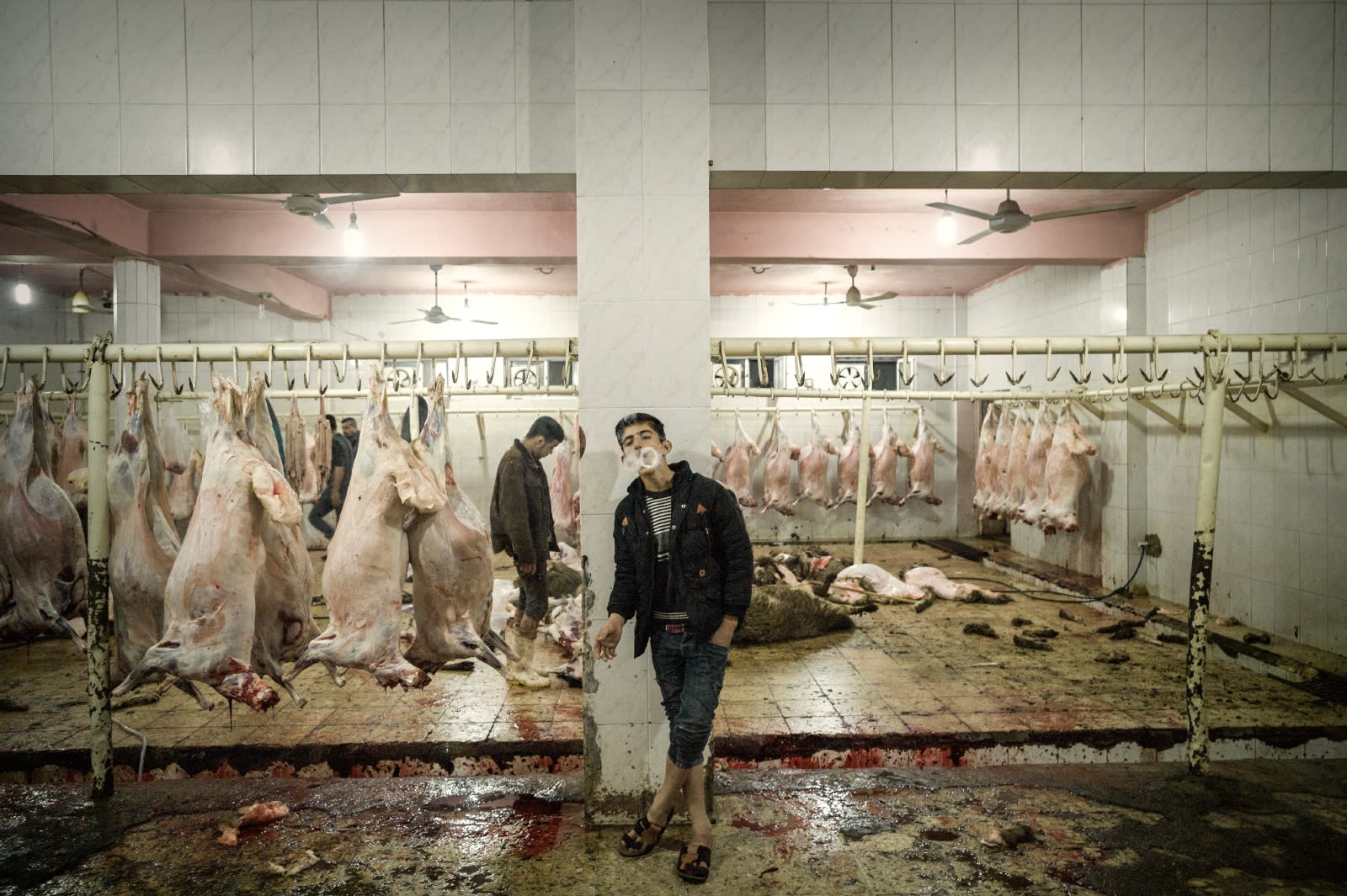 Simon Chang, Shepherds and the Slaughterhouse 36, Akre, Kurdistan region, Iraq , 2019