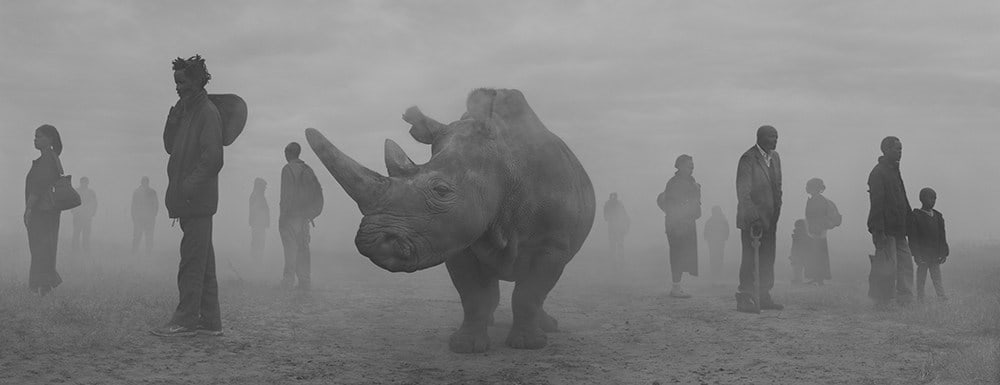 Nick Brandt, Najin in ljudje v megli, Kenija / Najin and People in Fog, Kenya, 2020
