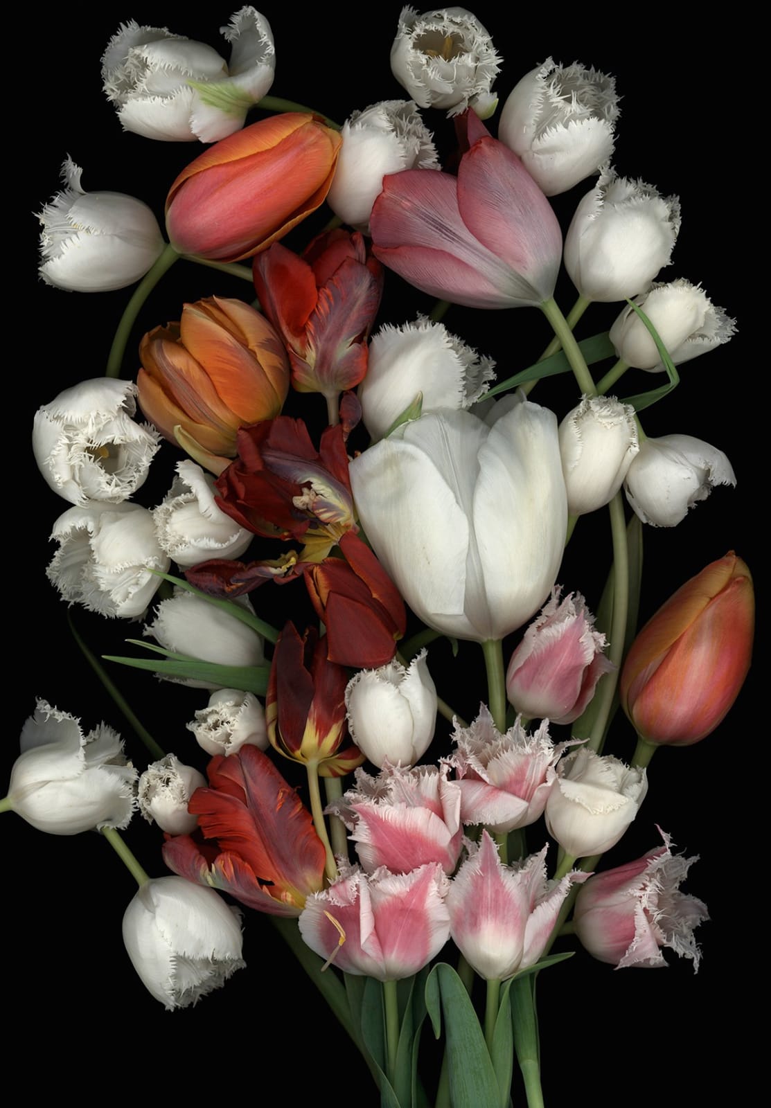 Luzia Simons, Stockage 83, 2010