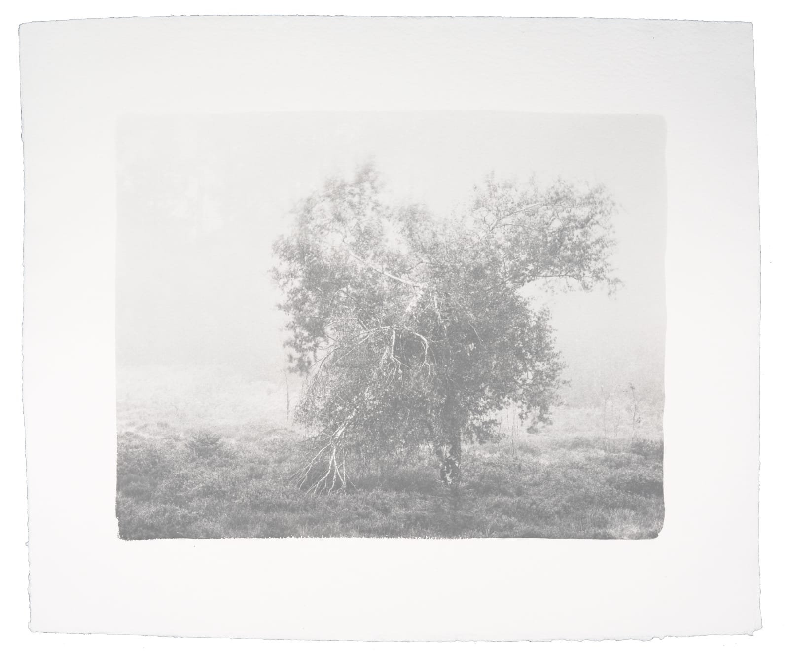 Hannah Schemel, Kigen #100, 2021