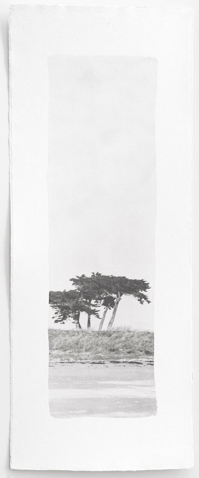 Hannah Schemel, Umi #161, 2021