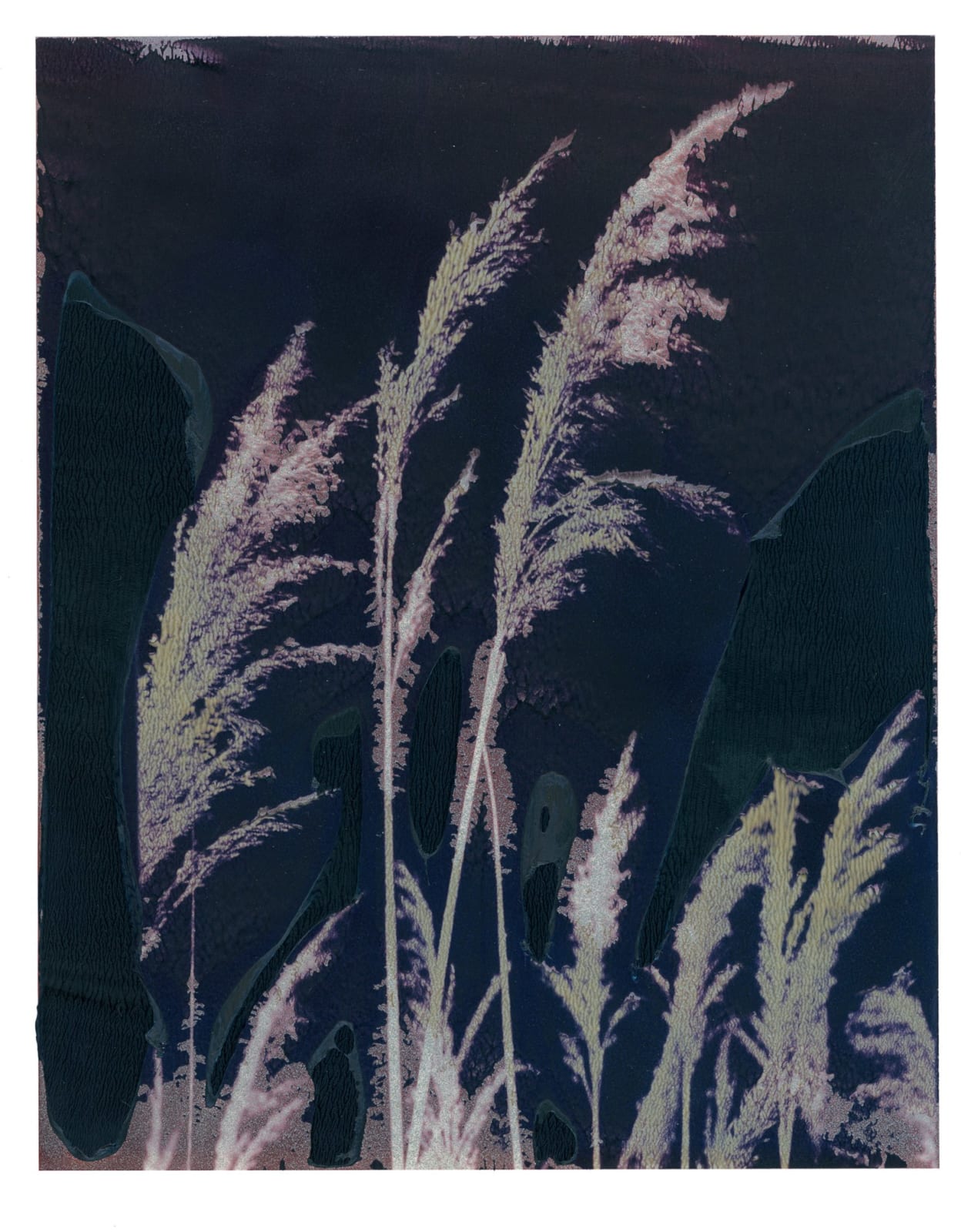 Euro Rotelli, My country #23, 2008