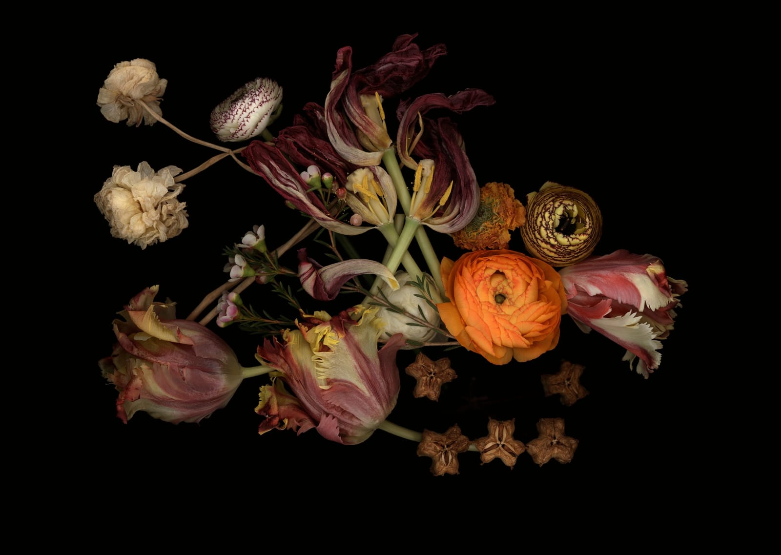 Luzia Simons, Stockage 187, 2020