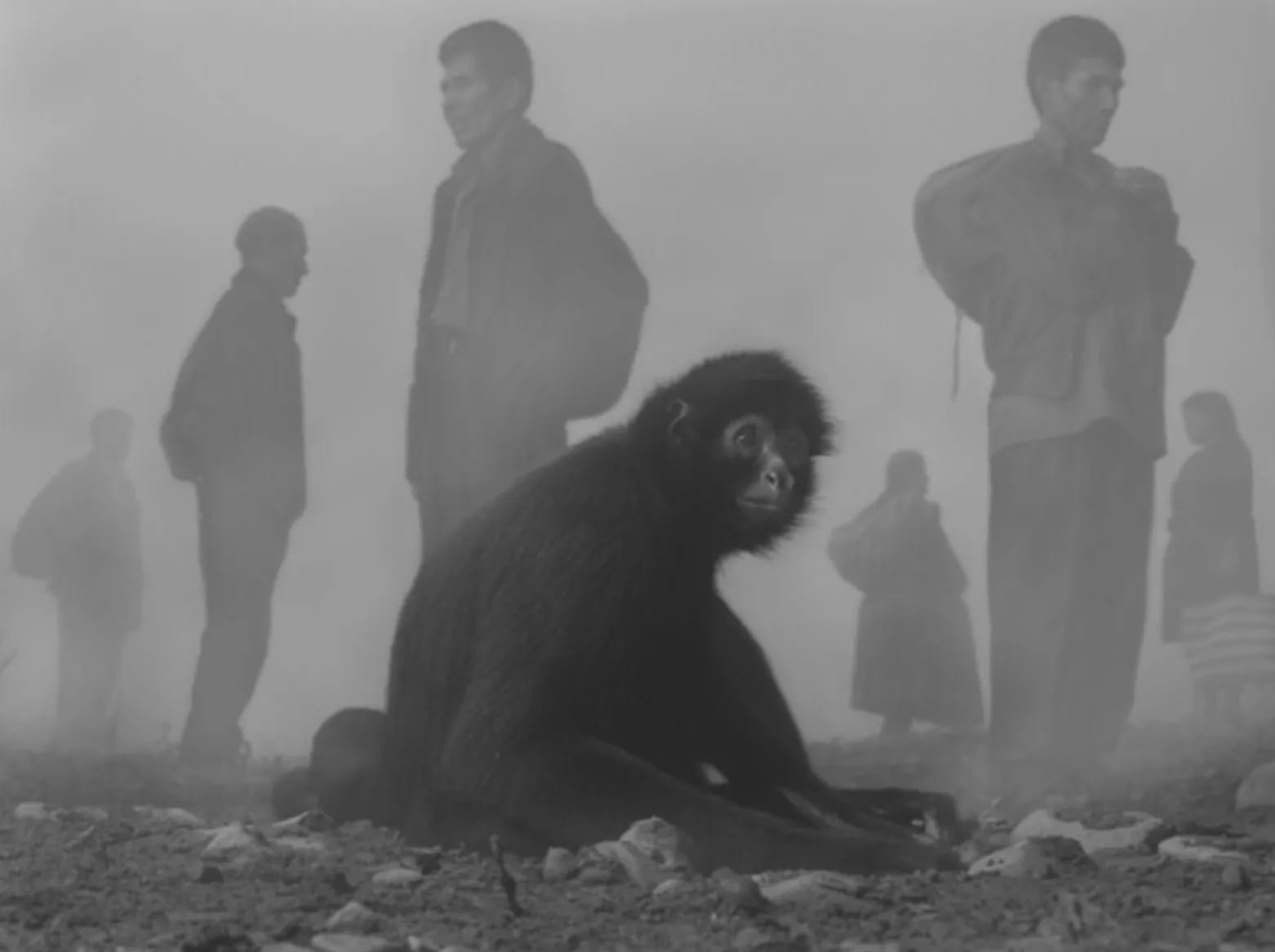 Nick Brandt, Pimienta in ljudje v megli, Bolivija / Pimienta and People in Fog, Bolivia, 2022