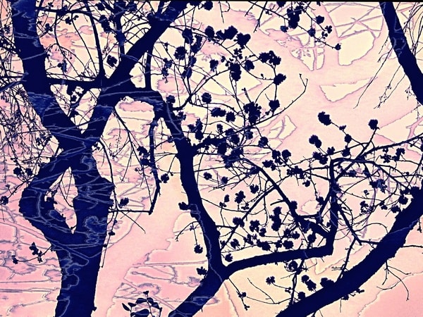 Metka Vergnion, Cherry Blossoms Blues, 2010