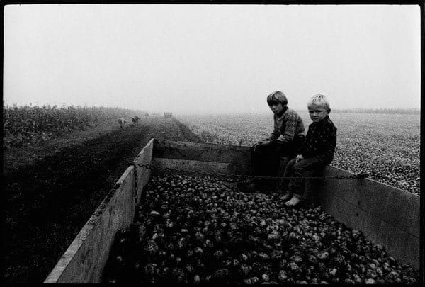 Stojan Kerbler, Krompir / Potatoes, 1976