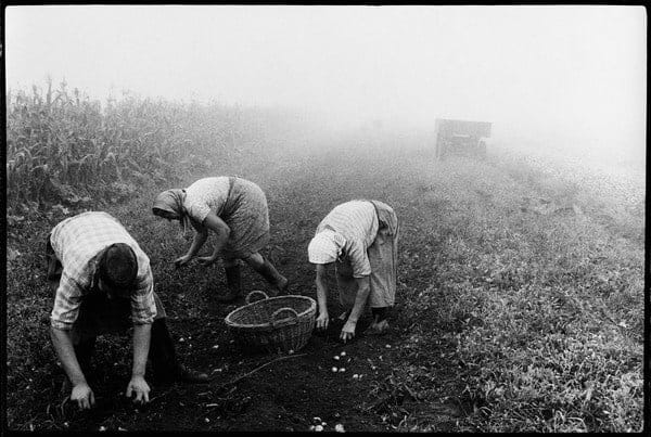 Stojan Kerbler, Pobiranje / Picking , 1976