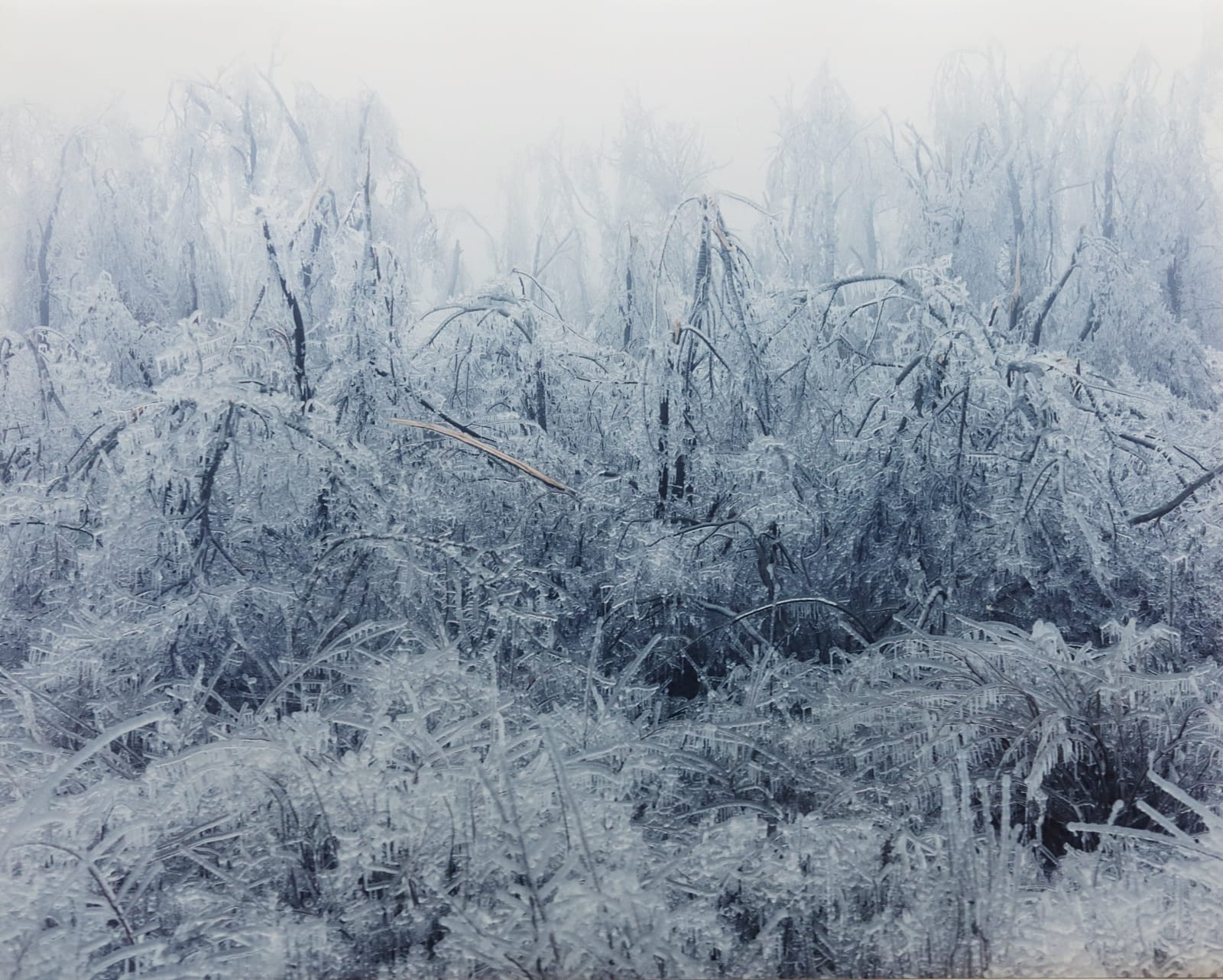 Nicolas Descottes, Syrjajeve N° 2/9, 2000