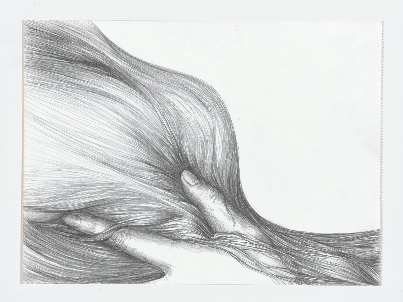 Ayça Telgeren, Hold On / Geography Series 2, 2022