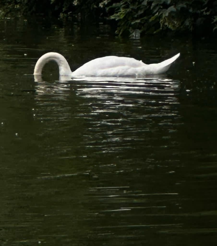 Lara Ögel, Threshold, 2023