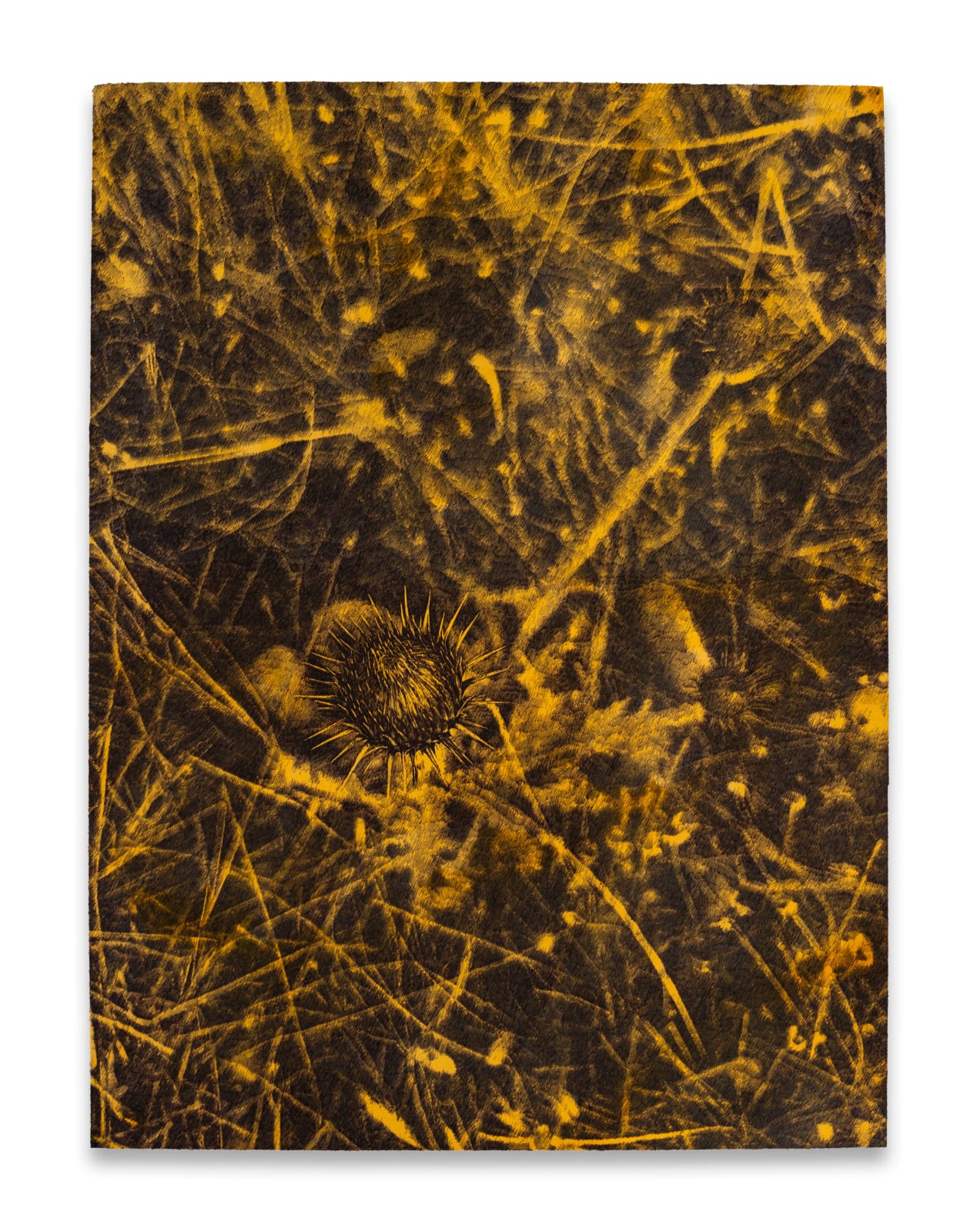 Deniz Aktaş, Unknown Plant Series I, 2025