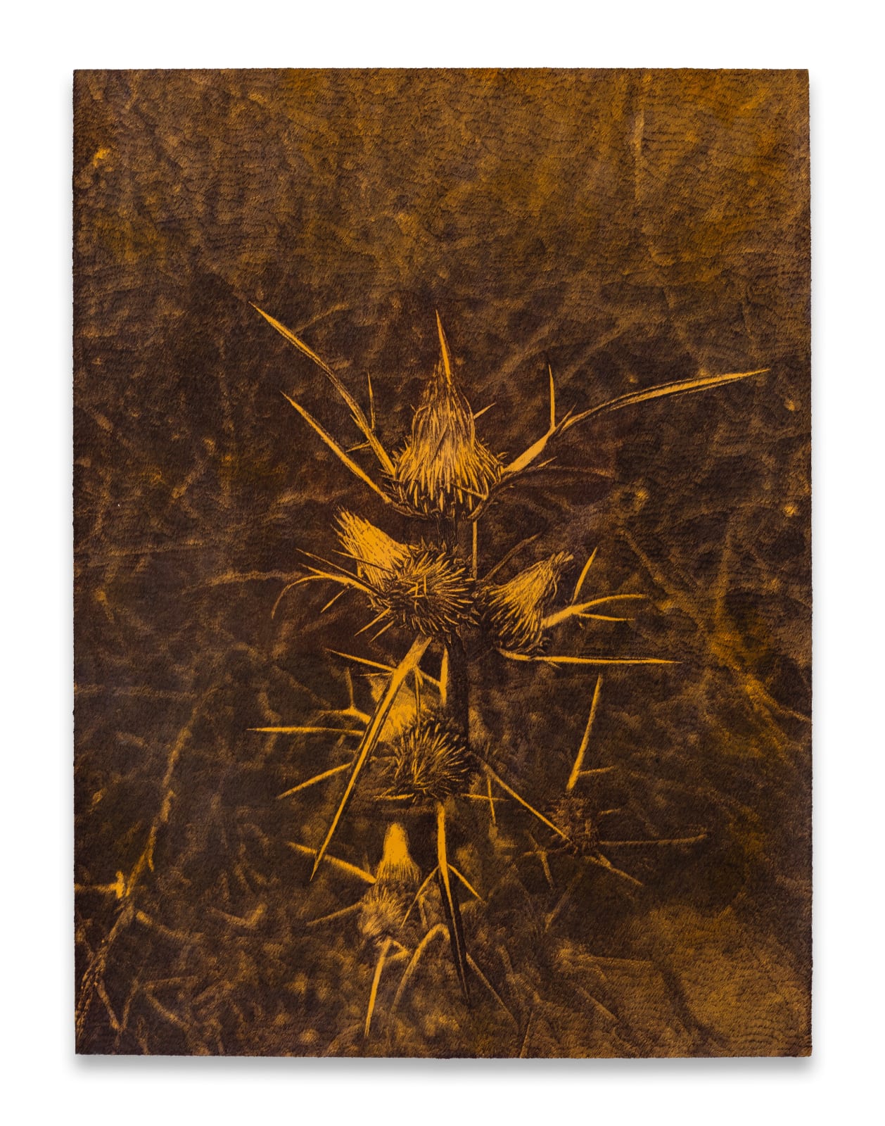 Deniz Aktaş, Unknown Plant Series II, 2025