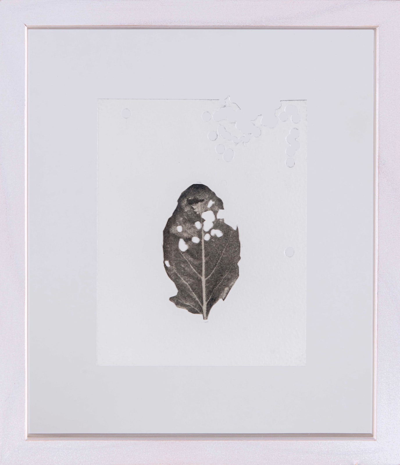 Burcu Yağcıoğlu, Acaibu'l Herbarium 4, 2019