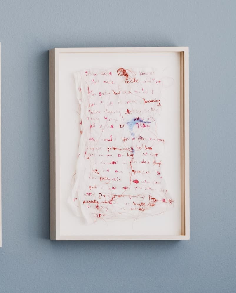 Joanne Grüne-Yanoff, Cassandra's Escape (bird map), 2025