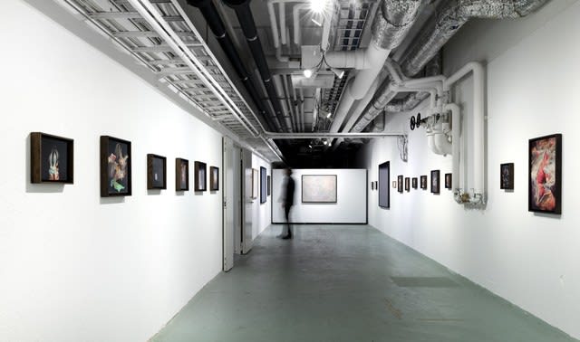 Johnathan Daily, Spore (series Corporeal), 2011
