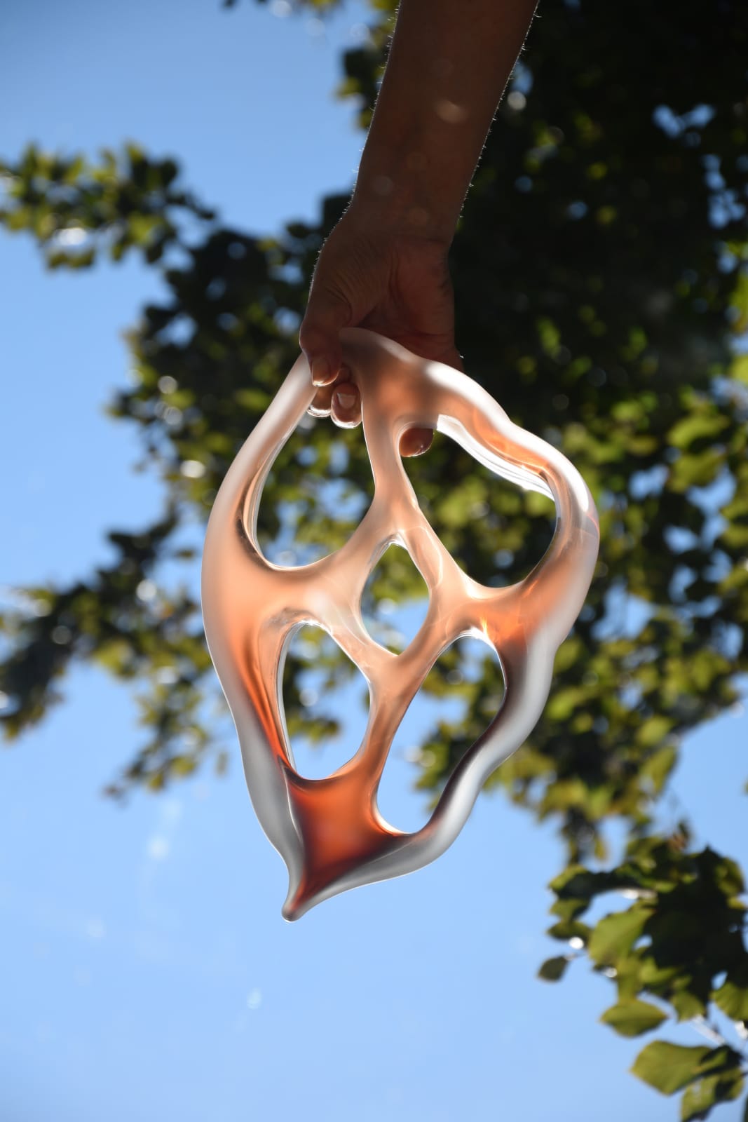 Iita Villiina Jaakonaho, Ameera 3, 2024