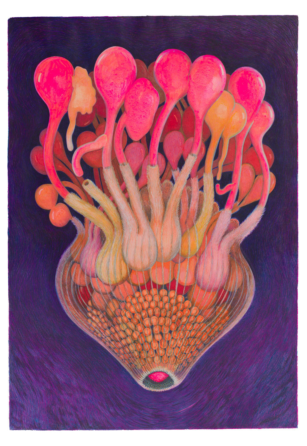 Fanny Senocq, 3. Kollektiv process / 4. Kluster av luster, 2022