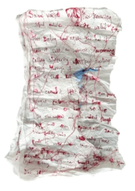 Joanne Grüne-Yanoff, Cassandra's Escape (bird map), 2025