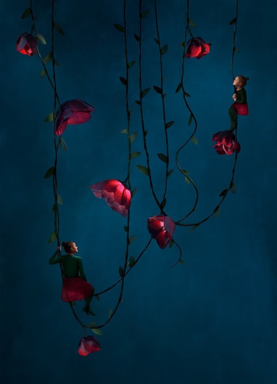SONJA HESSLOW, Nurture