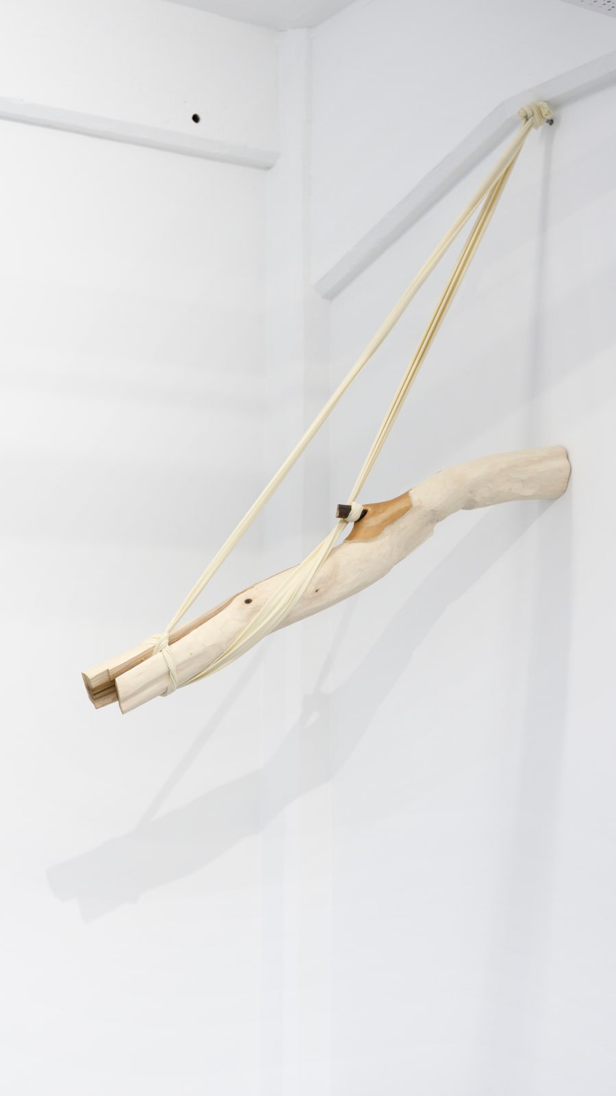 Jordana Loeb, Tendon II, 2022