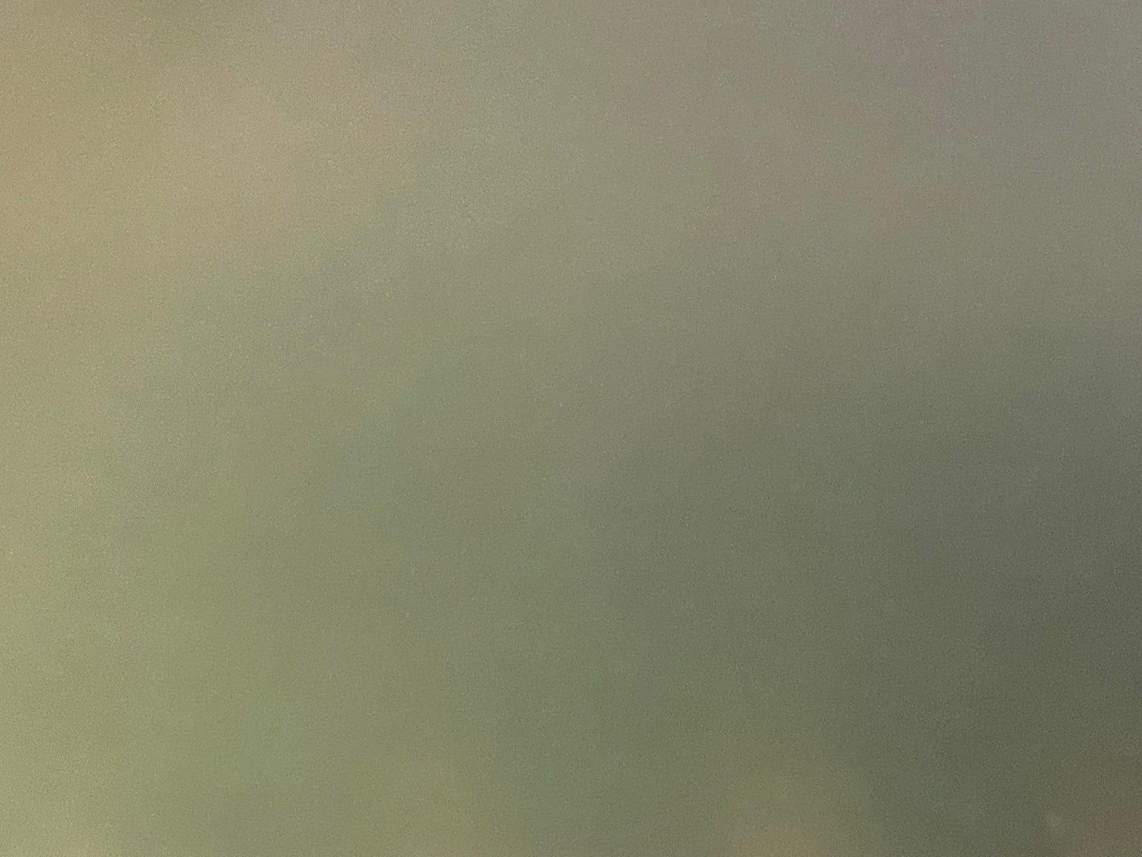 Martina Hoogland Ivanow, Green #1–9, 2023