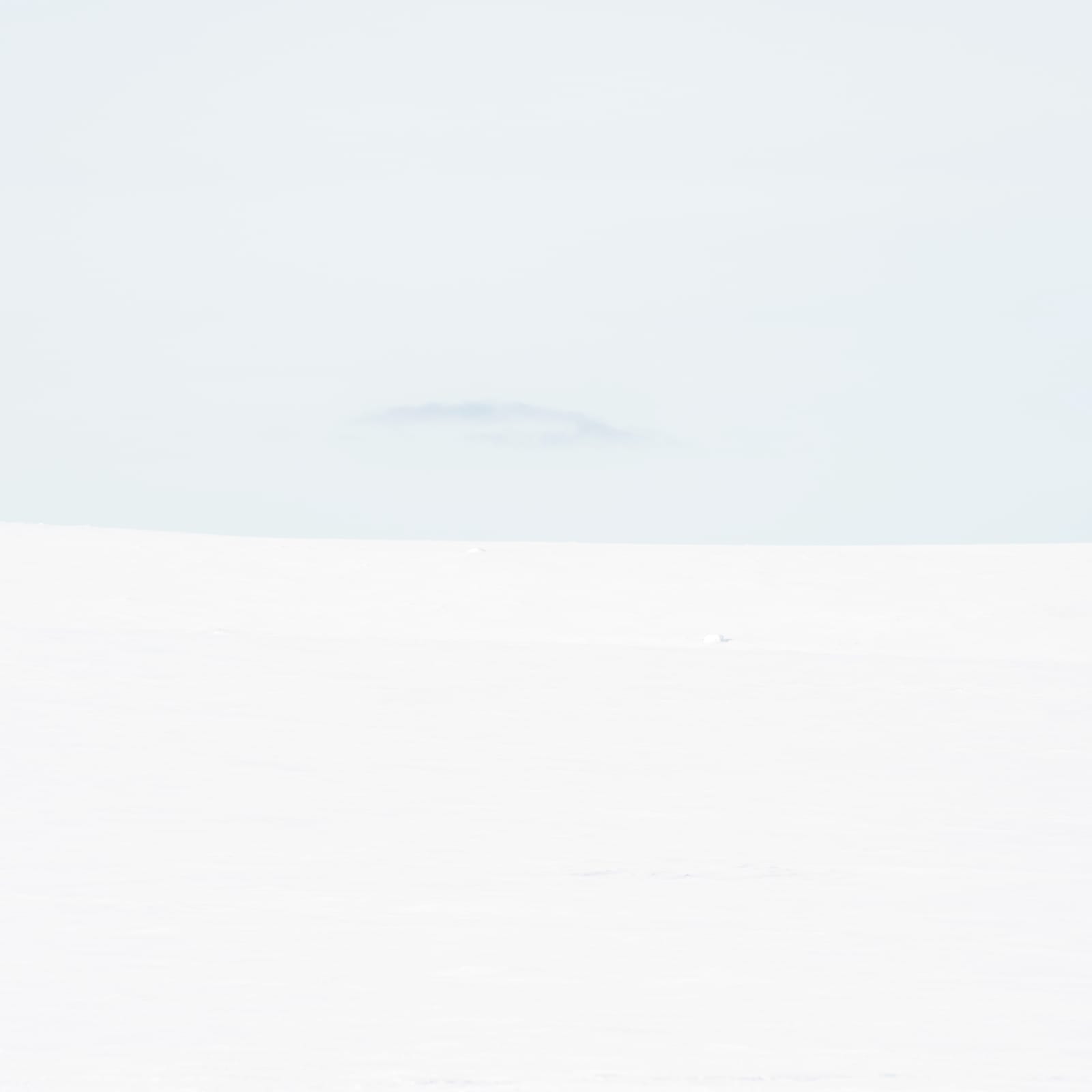 Serinyà, Passage nr 7545, 2013