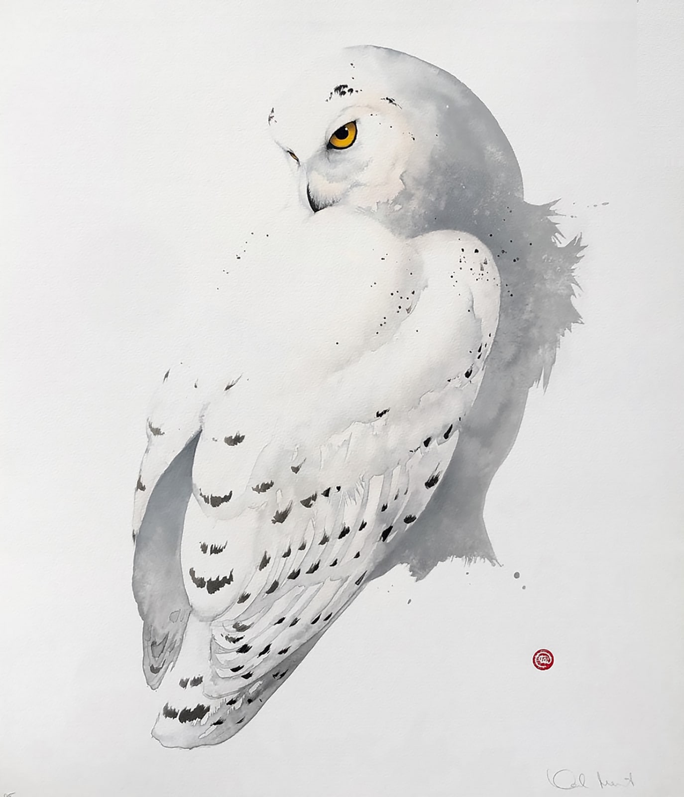 Karl Mårtens, Fjälluggla / Snowy Owl