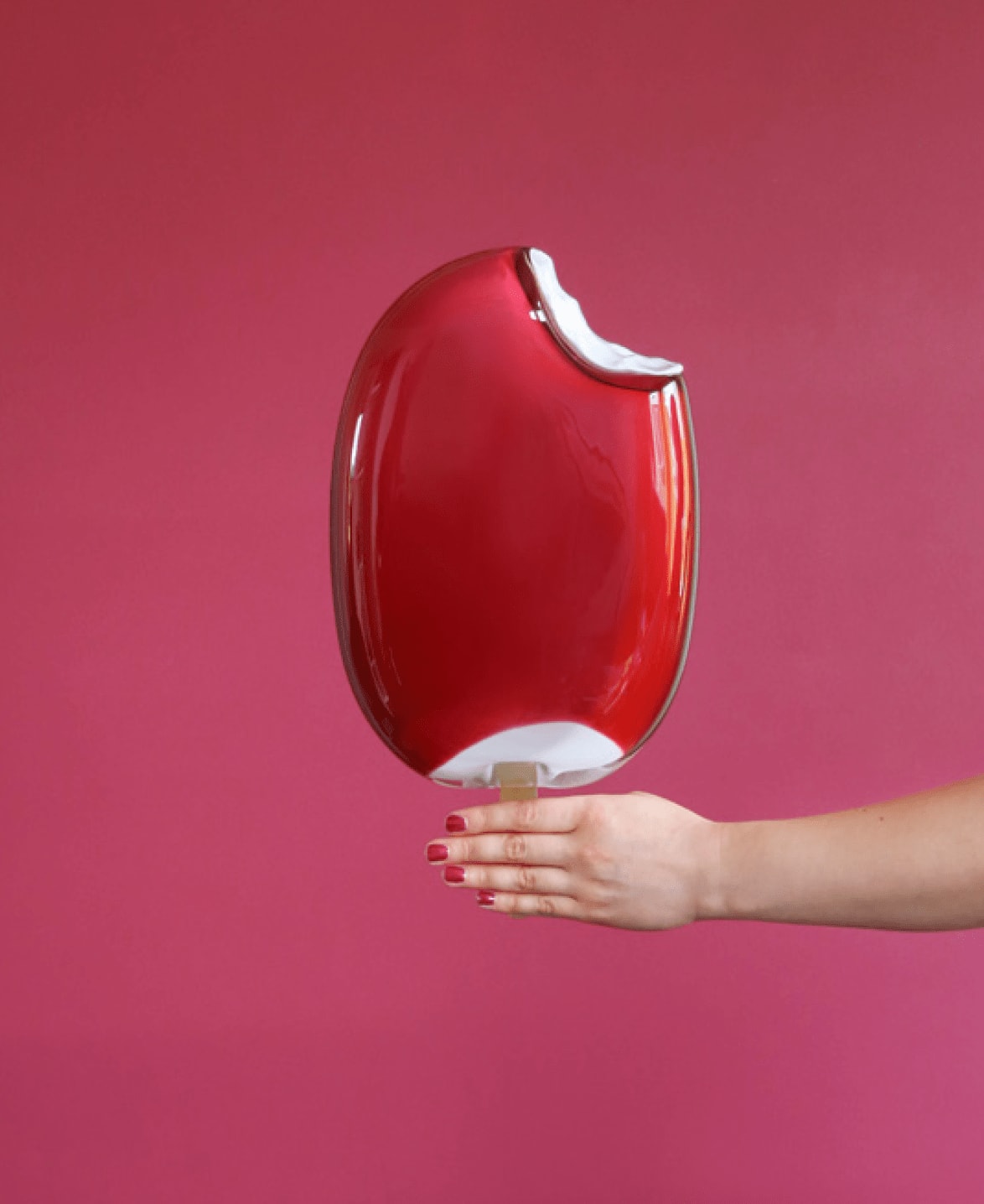 Paula Pääkkönen, Lingonberry Dream, 2022