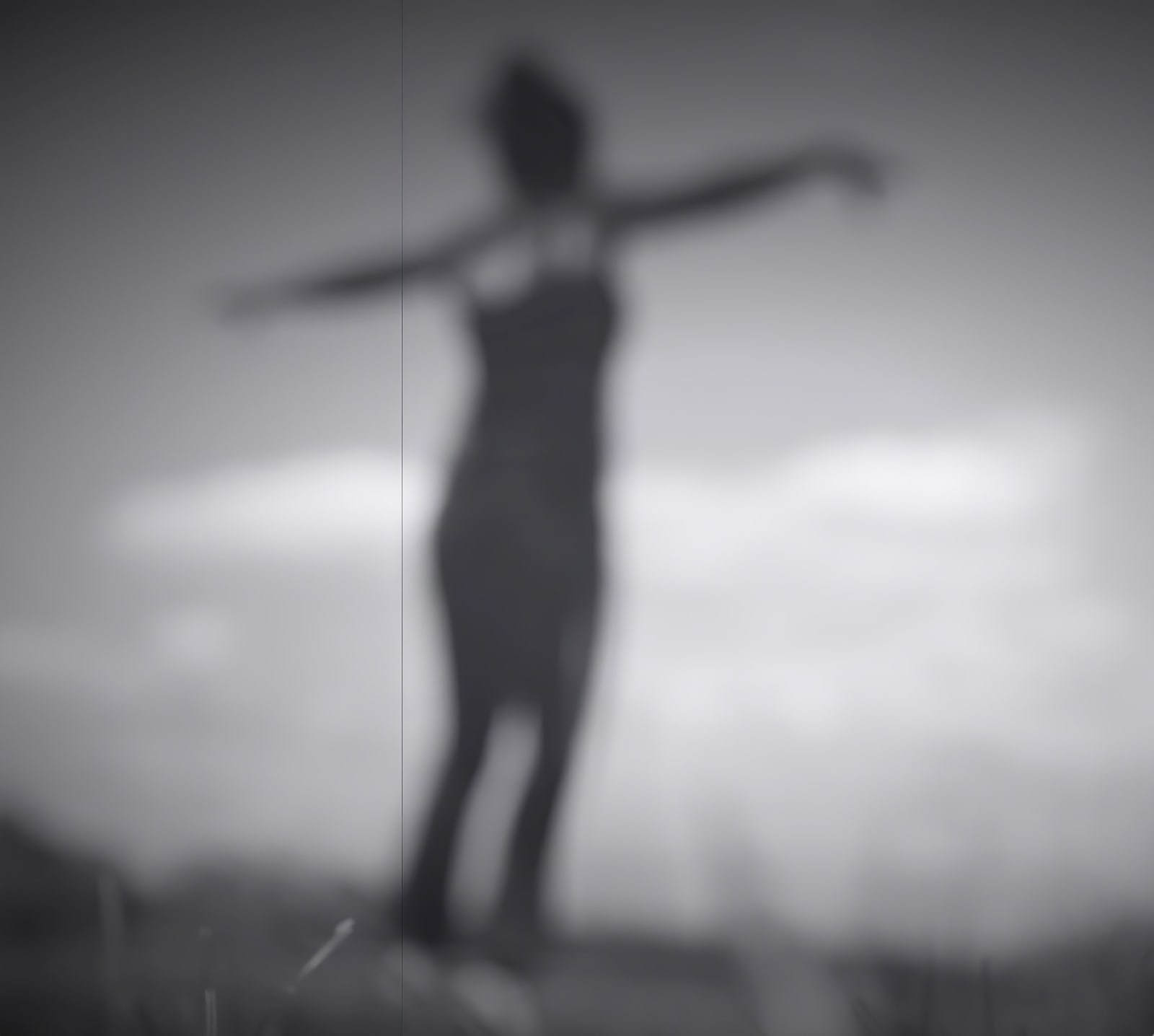 Joanne Grüne-Yanoff, Cassandra's Blur, 2023