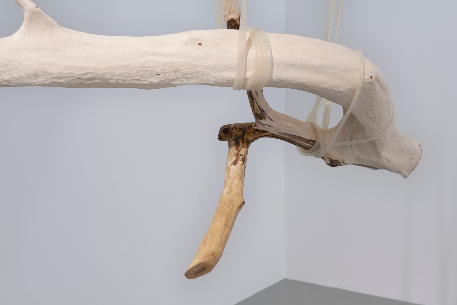 Jordana Loeb, Tendon IV, 2022