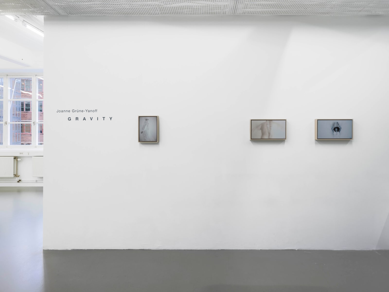 Joanne Grüne-Yanoff, Cassandra's Secret, 2023