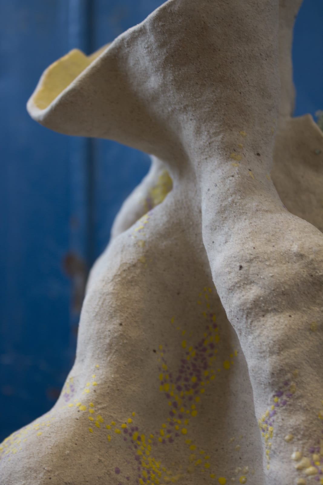 Margherita Pozzali, Organic Details, 2022
