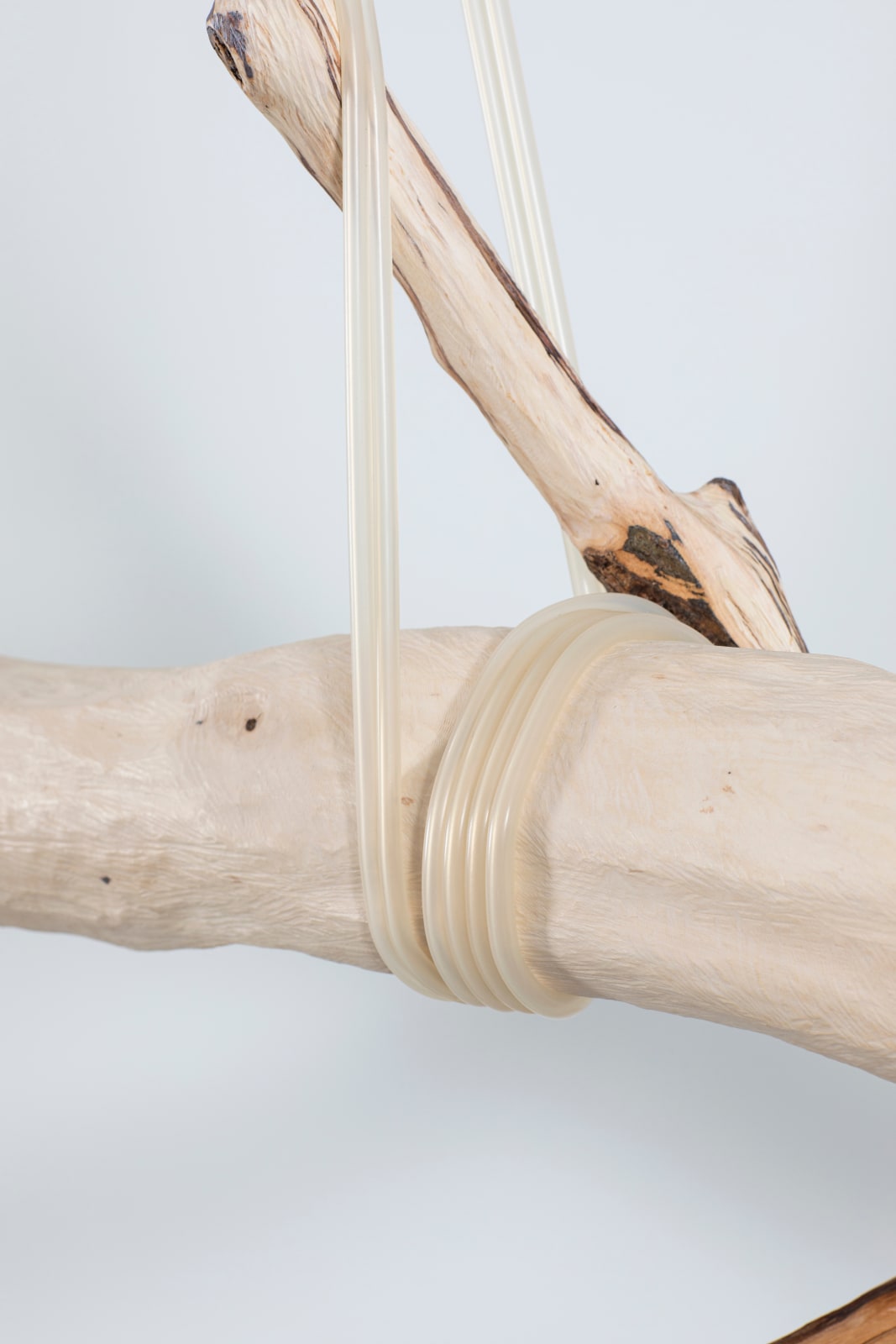 Jordana Loeb, Tendon IV, 2022