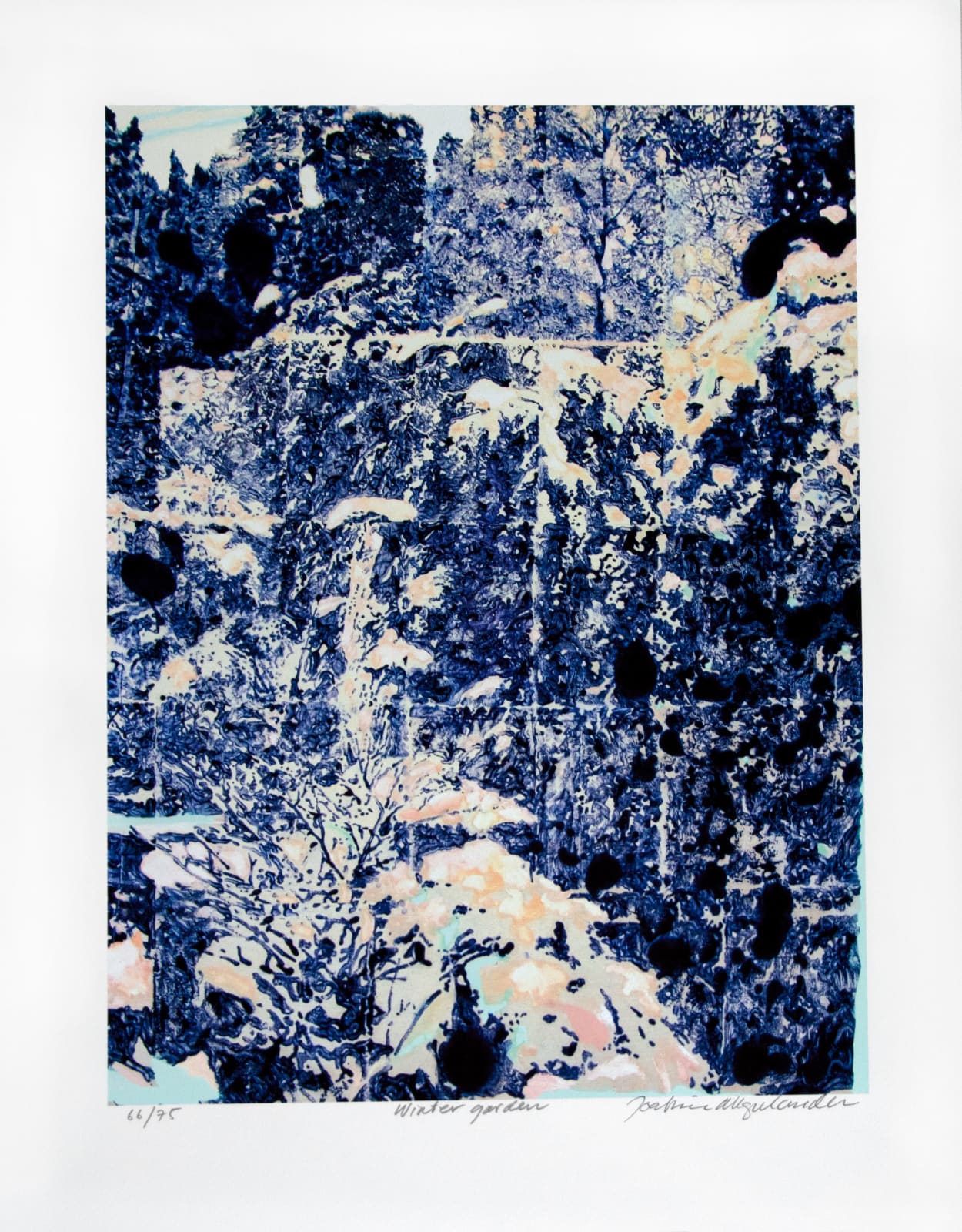 Joakim Allgulander / E, Winter Garden , 2023