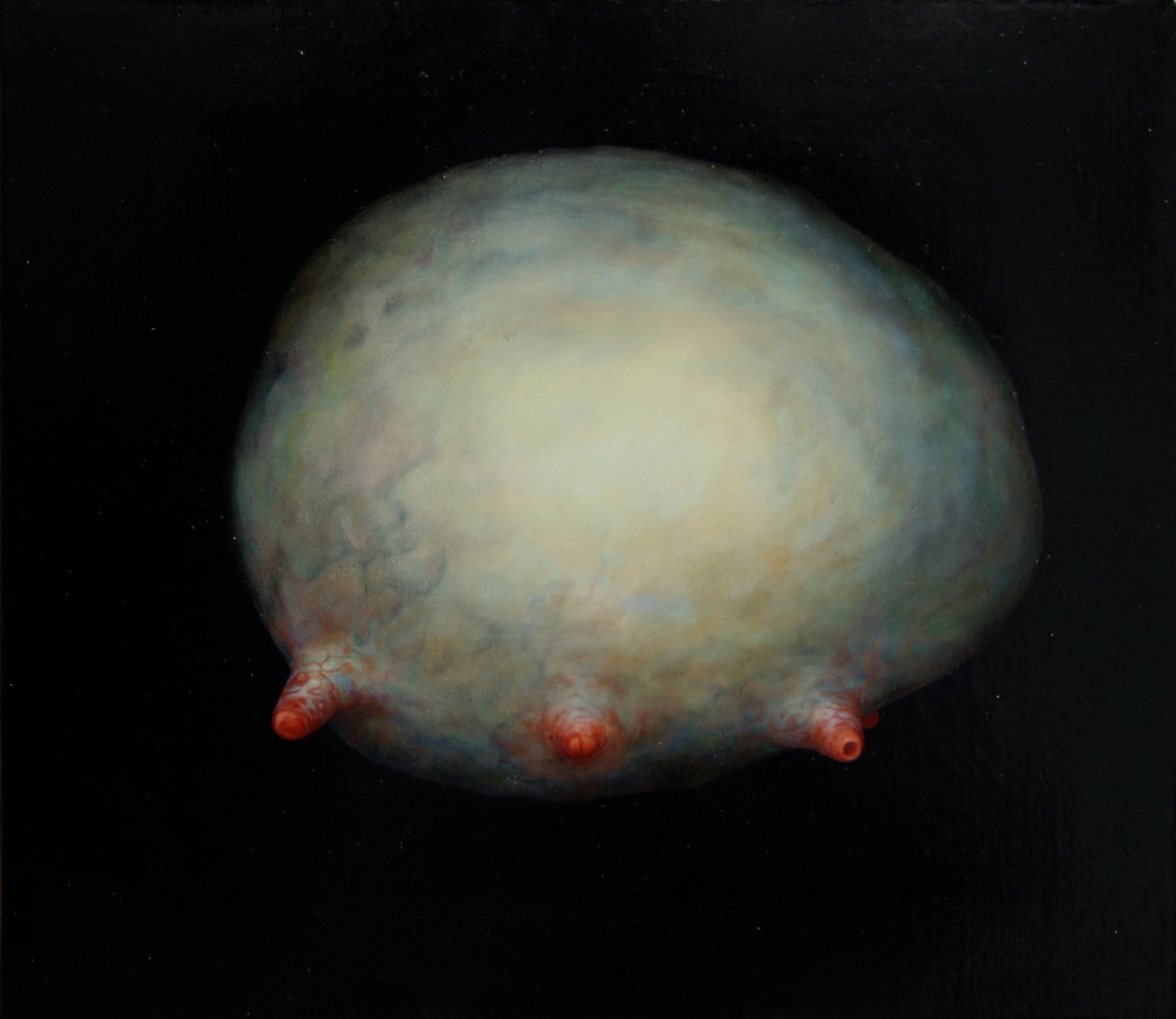 Johnathan Daily, Cloud (series Corporeal), 2011