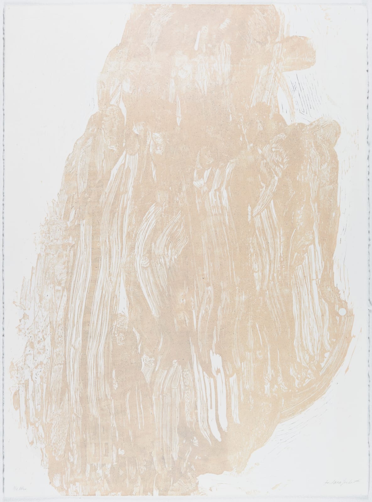 Jordana Loeb, Pushing Backwards, 2015