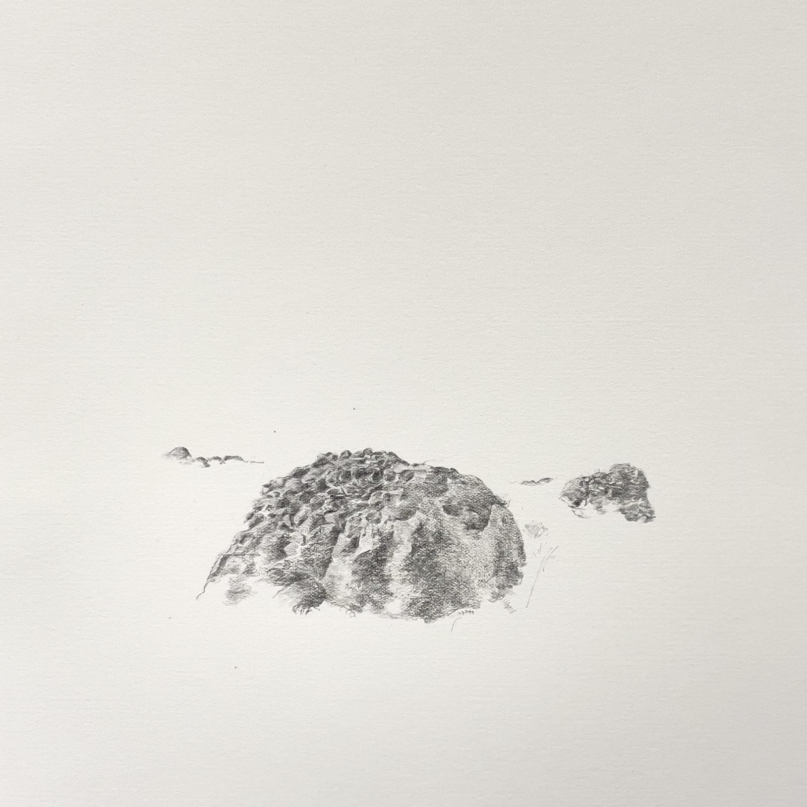 Alannah Robins, Over Your Cities Grass Will Grow. Field Clearance, Inis Mór, 19th century 53°05’39.3”N 9°38’24.3” W, 2023