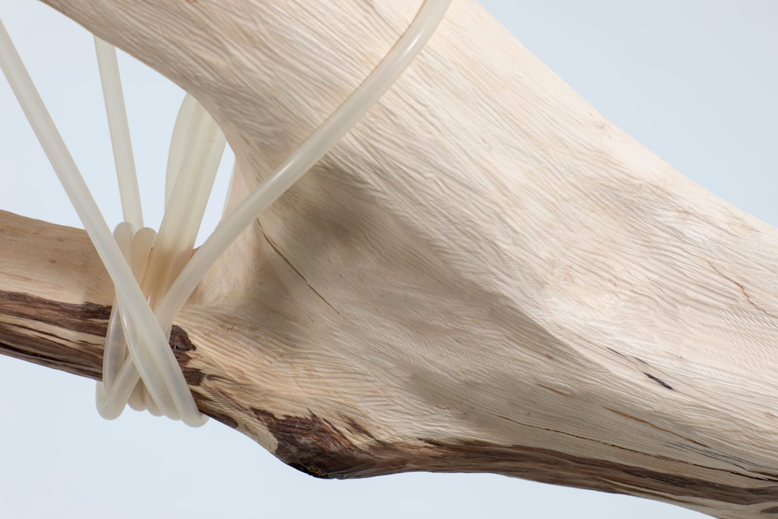 Jordana Loeb, Tendon IV, 2022