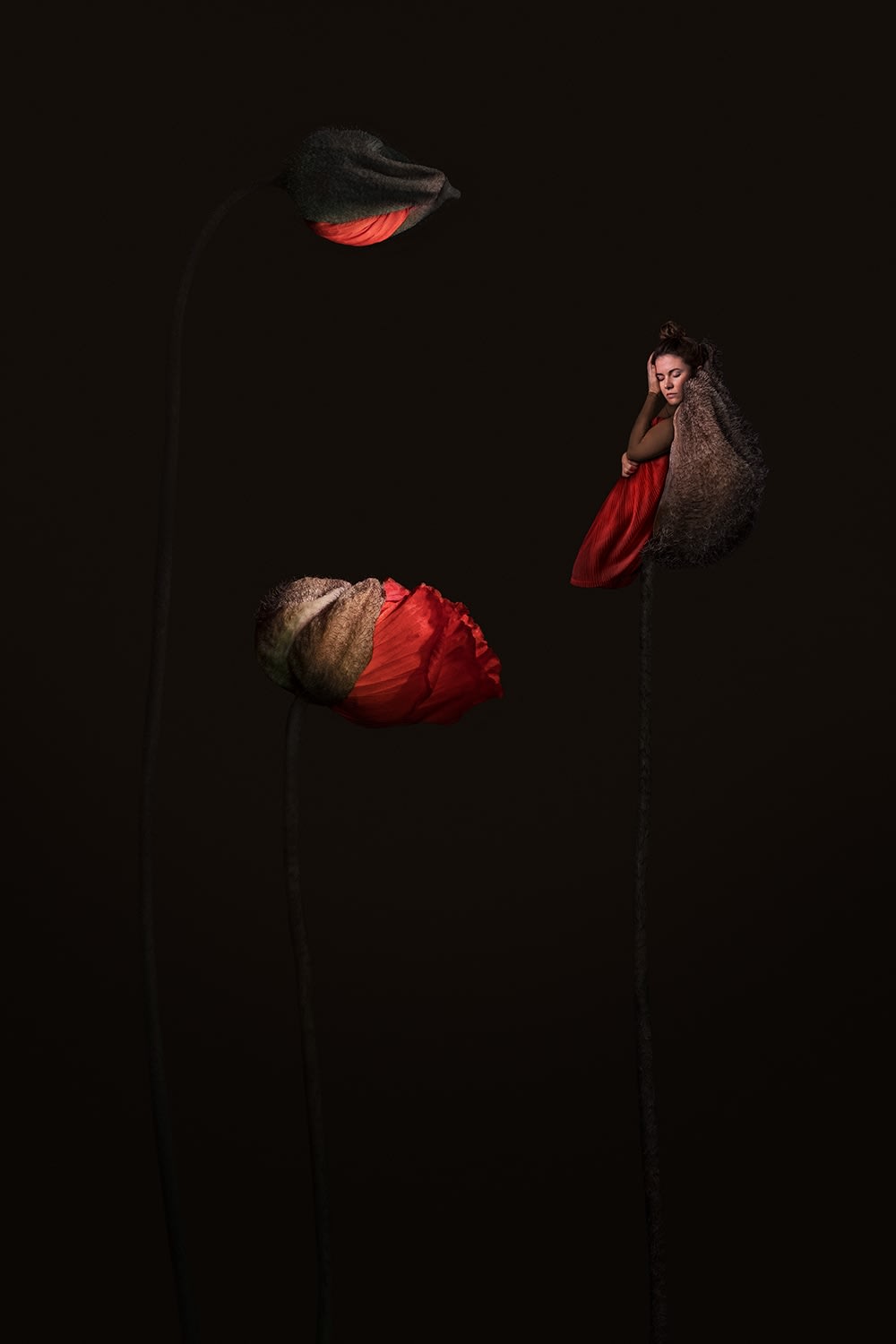 SONJA HESSLOW, Unseen