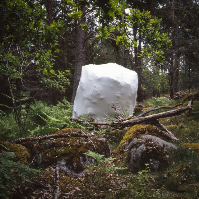Serinyà, Heretic Boulder nr 5772, 2010