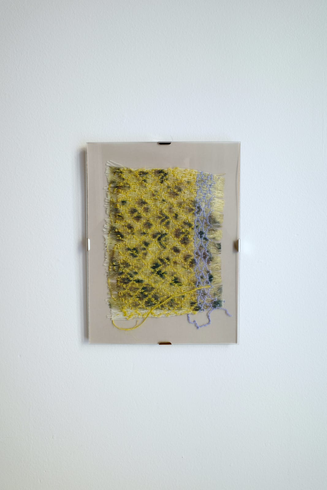 Klara Gardtman, Fir Cells, 2024